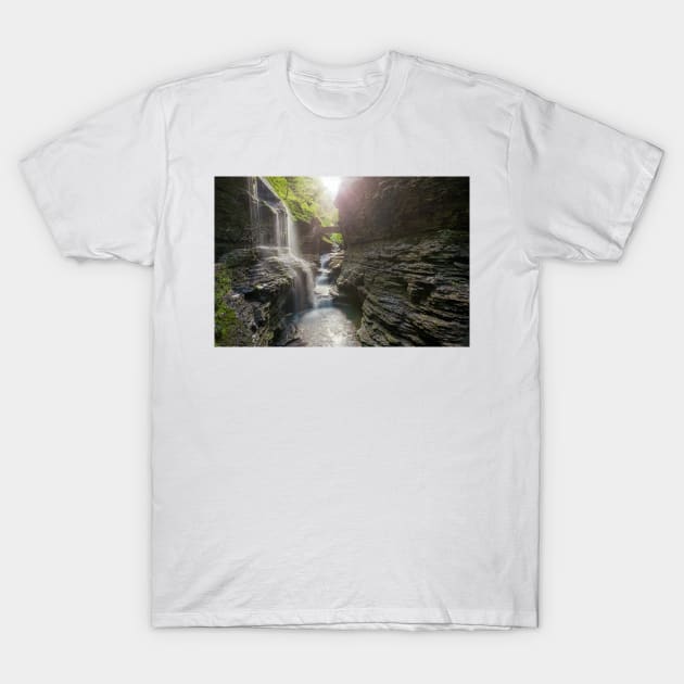 Watkins Glen T-Shirt by jswolfphoto